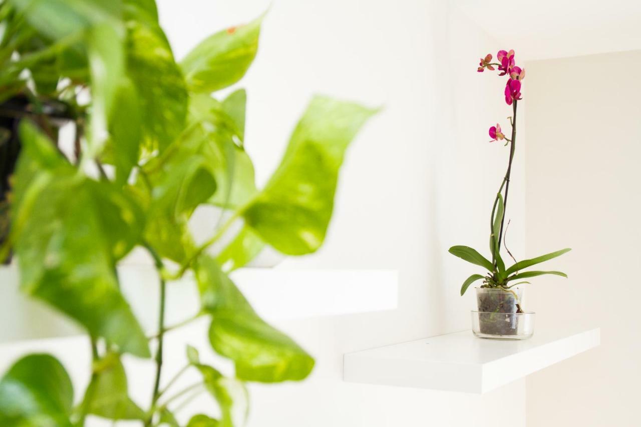 Charming Apartment In Pedregalejo Málaga Dış mekan fotoğraf